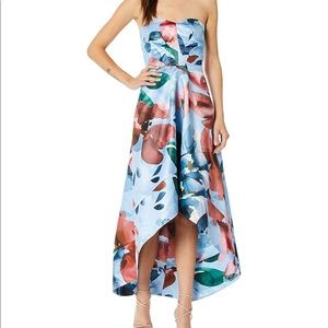 Parker Women's Clara Pleated Bodice High Low Dress